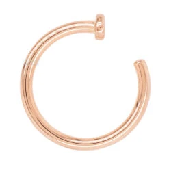 Nostril Nail Ring In Gold -Body Vision Los Angeles 40044 BodyVision BVLANostrilNailRinginGoldSingle18ga.5.16RoseGold1