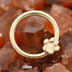 Flat Dog Paw Gold Captive Bead Ring (CBR) 4 Flat Dog Paw Gold Captive Bead Ring (CBR) -Body Vision Los Angeles 40197 BVLABodyVisionFlatDogPawGoldCaptiveBeadRingCBRSingle16ga.5.16YellowGoldzfunky