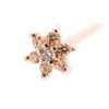 Flower #2 Nostril Screw In Gold With Champagne CZ's & White CZ