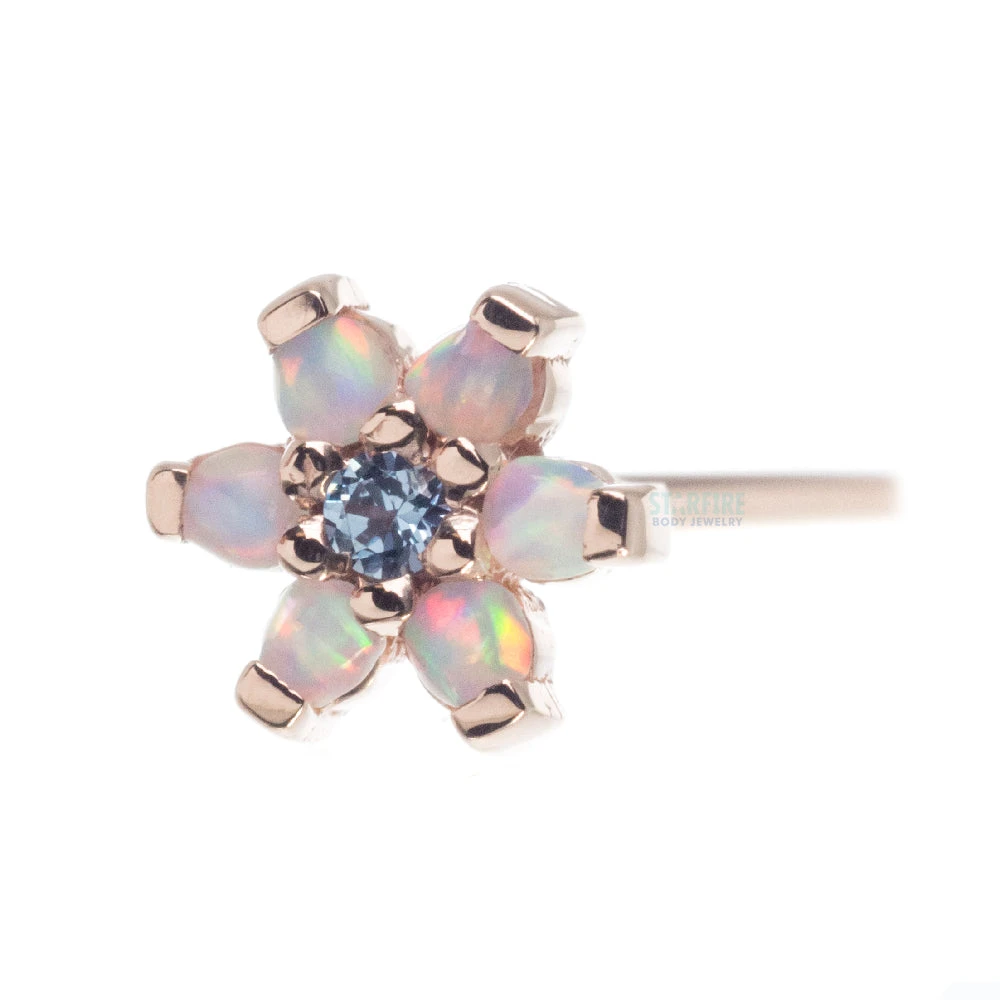Flower #2 Nostril Screw In Gold With White Cabochon Opals & A Light Blue CZ 1 Flower #2 Nostril Screw In Gold With White Cabochon Opals & A Light Blue CZ