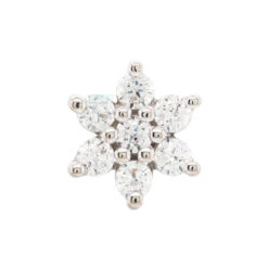 Flower #2 Nostril Screw In Gold With White CZ's -Body Vision Los Angeles 40212 BodyVision BVLAFlower 2NostrilScrewinGoldwithWhiteCZ sSingleWhiteGold5mm2