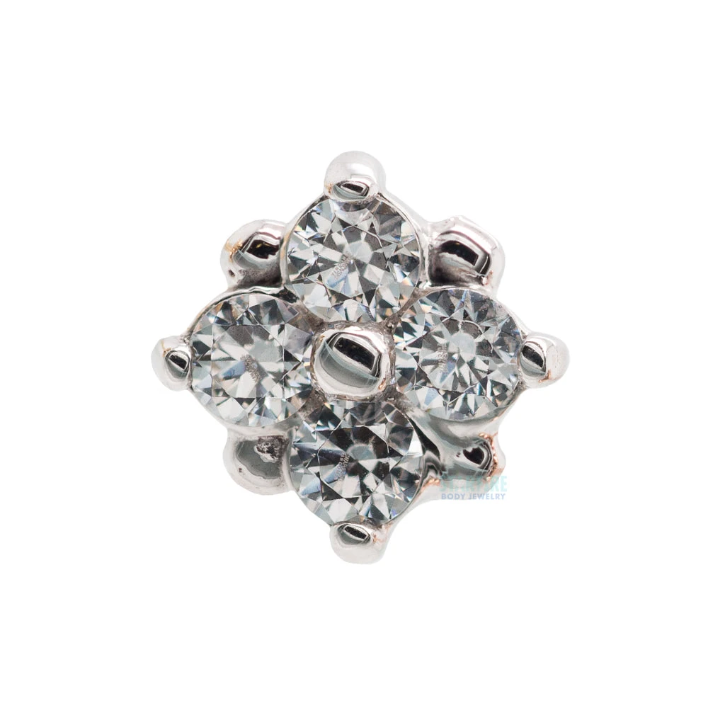 "Reema" Nostril Screw In Gold With White CZ's 8 "Reema" Nostril Screw In Gold With White CZ's - Image 8