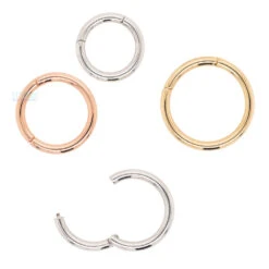 Basic (Snap) Hinge Ring In Gold