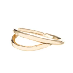 Illusion Hinge Ring In Gold -Body Vision Los Angeles 40299 BVLABodyVisionYellowGoldCustomGapHingeRing14ga1.23