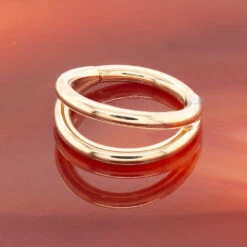 Body Vision Los Angeles -Body Vision Los Angeles 40299 BVLABodyVisionYellowGoldCustomGapHingeRingzfunky