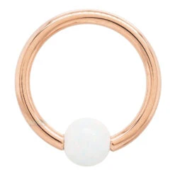 Captive Bead Ring (CBR) In Gold With White Opal Captive Bead -Body Vision Los Angeles 40479 BVLABodyVisionCaptiveBeadRingCBRinGoldwithOpalCaptiveBeadSingle16ga.3.84mmRoseGoldWhiteOpal2