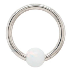 Captive Bead Ring (CBR) In Gold With White Opal Captive Bead -Body Vision Los Angeles 40479 BVLABodyVisionCaptiveBeadRingCBRinGoldwithOpalCaptiveBeadSingle16ga.3.84mmWhiteGoldWhiteOpal1
