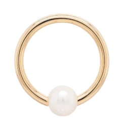 Captive Bead Ring (CBR) In Gold With Pearl Captive Bead -Body Vision Los Angeles 40479 BodyVision BVLACaptiveBeadRingCBRinGoldwithPearlCaptiveBeadSingleYellowGold3mm2