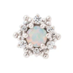 "Hannah" Nostril Screw In Gold With Genuine White Opal & White CZ's -Body Vision Los Angeles 40729BVLAHannahNostrilgenwhiteopalandwhiteczw gsingle2 58e62745 3a4a 43f4 93da a25a9e7c7bf5