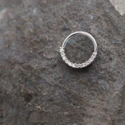 Gem "Oaktier" Seam Ring In Gold With White CZ's -Body Vision Los Angeles 40829 BVLABodyVisionGemOaktierSeamRinginGoldwithWhiteCZ sFunkyWhiteGoldRightNostril1 d64ef016 17e4 4279 9142 21a70bd0923a