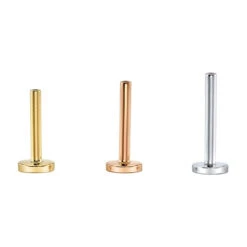 Gold Threaded Flatback / Labret Post / Straight Barbell End With Fixed Disc -Body Vision Los Angeles 40946 BVLABodyVisionGoldThreadedFlatbackLabretPostStraightBarbellEndwithFixedDisk StandardLineAsstGroupVENDORPHOTO