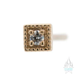Square Harlequin Nostril Screw In Gold With White CZ