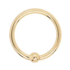 Gold Fixed Bead Ring (FBR) -Body Vision Los Angeles 41045 BodyVision BVLAGoldFixedBeadRingFBRSingleYellowGold18ga5.162