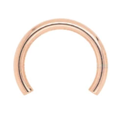 Gold Threaded Circular Barbell Shaft -Body Vision Los Angeles 41054 BodyVision BVLAGoldThreadedCircularBarbellShaftSingleRoseGold2