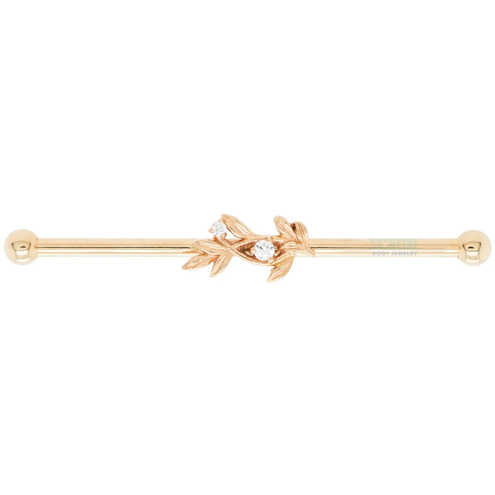 "Jessamine" Industrial Barbell In Gold With White CZ's 5 "Jessamine" Industrial Barbell In Gold With White CZ's - Image 5