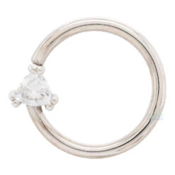 "Tanti" Seam Ring In Gold With White CZ -Body Vision Los Angeles 41416 BodyVision BVLATantiSeamRinginGoldwithWhiteCZ sSingle16ga.3.8WhiteGold2 71fe6236 8341 405b b1ea 97274d6eb593