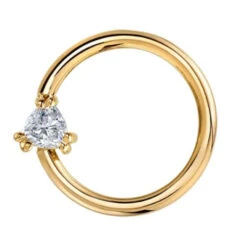 "Tanti" Seam Ring In Gold With White CZ -Body Vision Los Angeles 41416 BodyVision BVLATantiSeamRinginGoldwithWhiteCZ sSingleYellowGoldVENDORPHOTO 2873c003 6ea7 496c b618 2cd3b1d98249