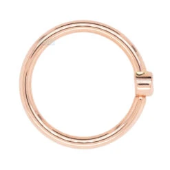 Round Fixed Bezel Seam Ring (FBR) In Gold With Champagne CZ -Body Vision Los Angeles 41448 BodyVision RoundFixedBezelSeamRing FBR inGoldwithChampagneSingle5.16RoseGold3
