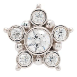 "Lucinda" Threaded End In Gold With White CZ's -Body Vision Los Angeles 41477 BodyVision BVLALucindaThreadedEndinGoldwithWhiteCZ sSingleWhiteGold2 ab33879c 5d14 4264 a51c 74006b0ed824