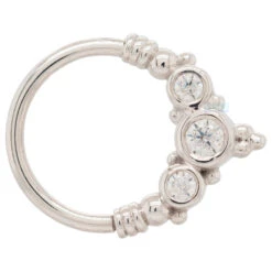 "Sylvie" Seam Ring In Gold With White CZ's -Body Vision Los Angeles 41790 BodyVision BVLA Sylvie SeamRinginGoldwithWhiteCZ sSingleWhiteGoldLeftNostril2 ecc2acfb b7a0 4534 b4b0 647a02a511ce