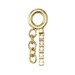"Dorian" Chain Charm In Gold